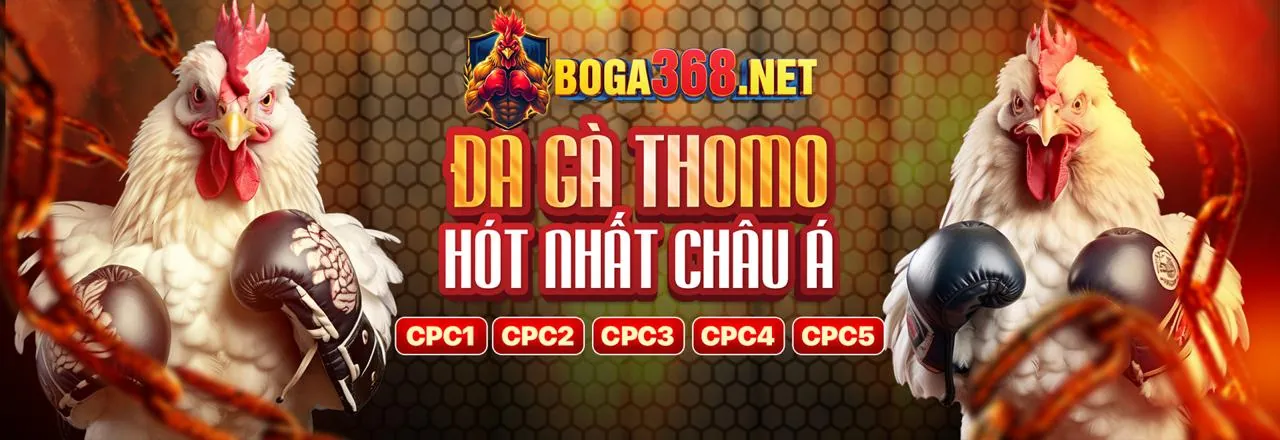 Sân đấu đá gà trực tuyến sôi động tại cpc3 nổ hũ