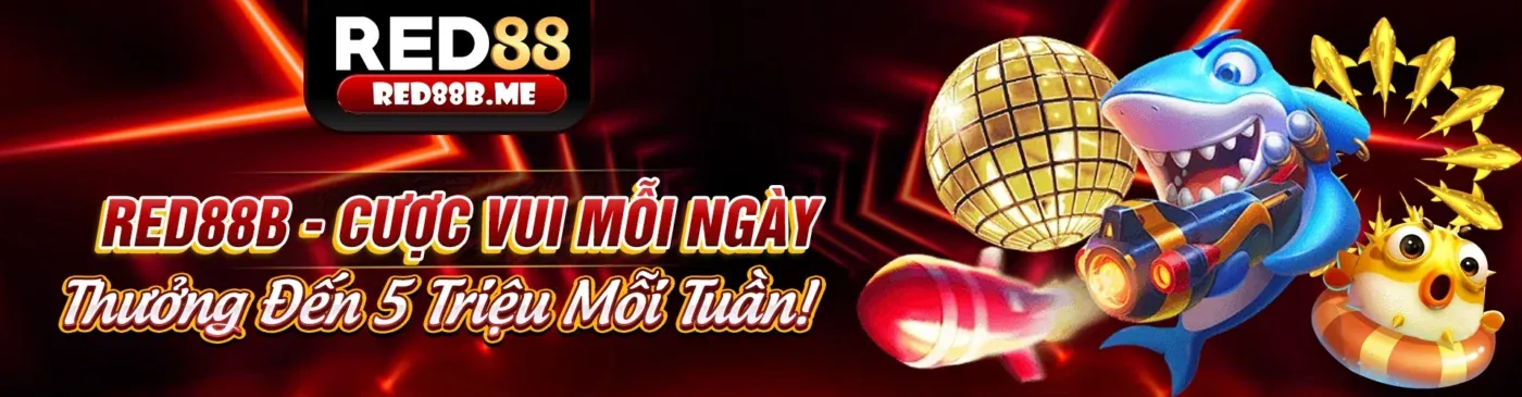 Quy trình giao dịch và đảm bảo tài chính