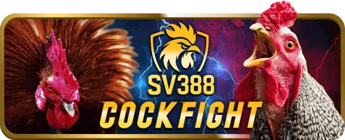 Cách tối đa hóa cơ hội trúng jackpot